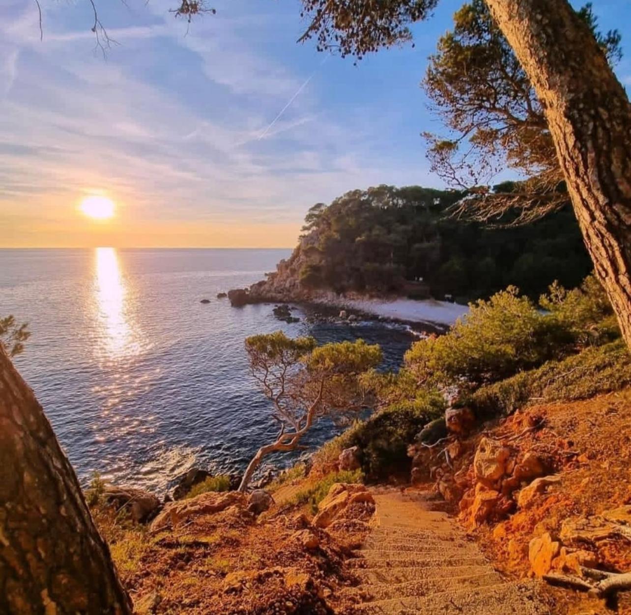 Logement Vue Mer Splendide - Situe A 50 Metres Du Bord De Mer Et 2 Minutes Des Plages - Bandolina Eksteriør bilde