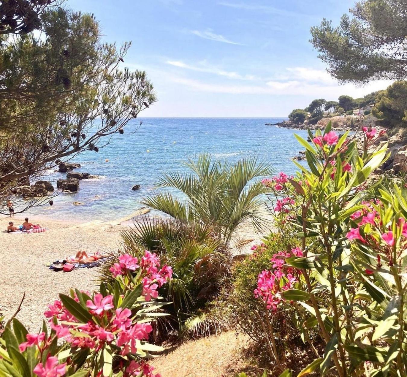 Logement Vue Mer Splendide - Situe A 50 Metres Du Bord De Mer Et 2 Minutes Des Plages - Bandolina Eksteriør bilde