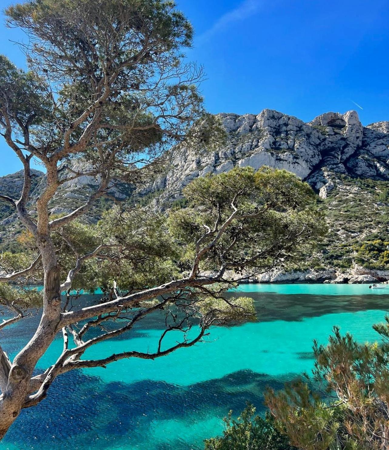 Logement Vue Mer Splendide - Situe A 50 Metres Du Bord De Mer Et 2 Minutes Des Plages - Bandolina Eksteriør bilde