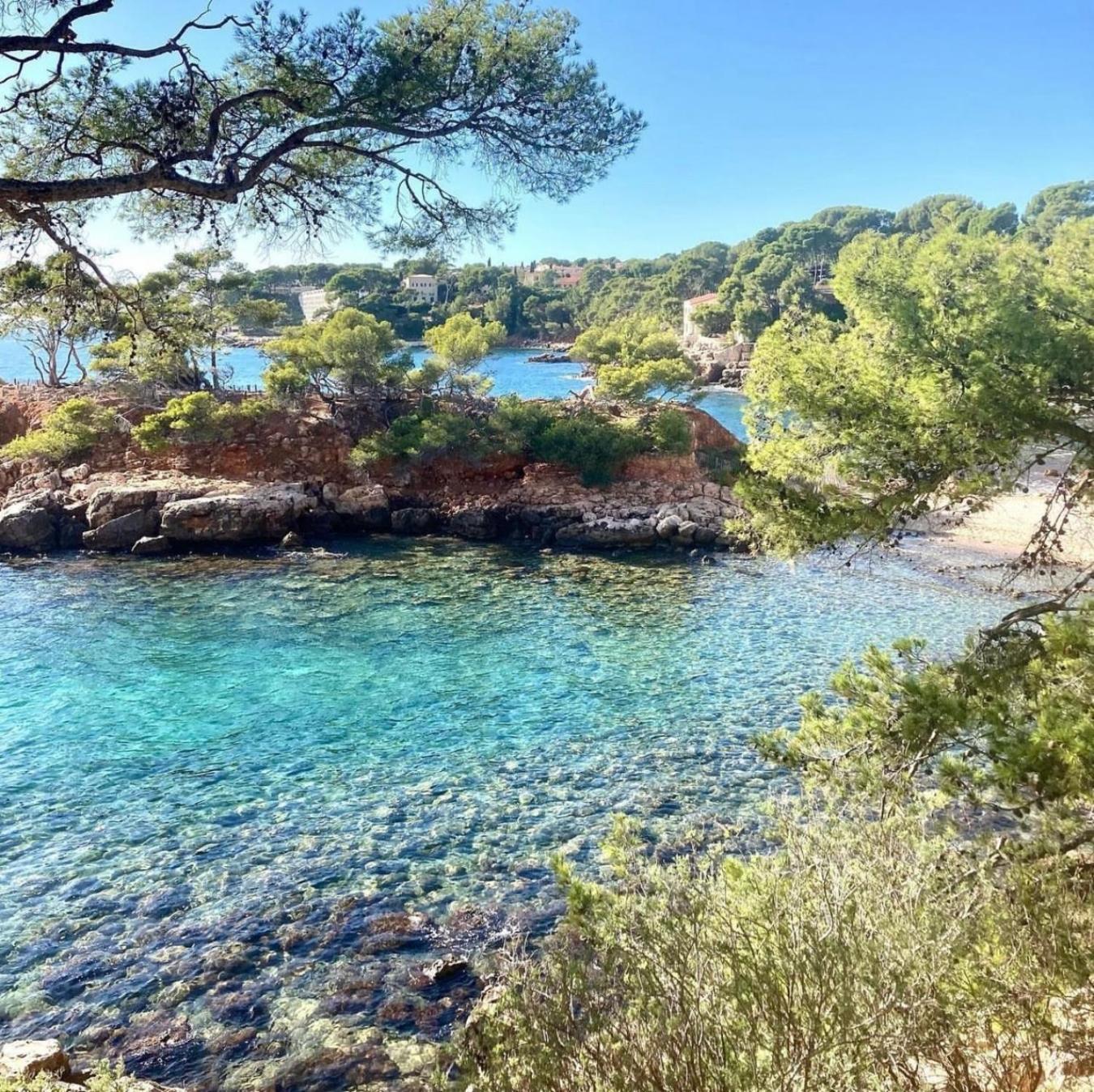 Logement Vue Mer Splendide - Situe A 50 Metres Du Bord De Mer Et 2 Minutes Des Plages - Bandolina Eksteriør bilde